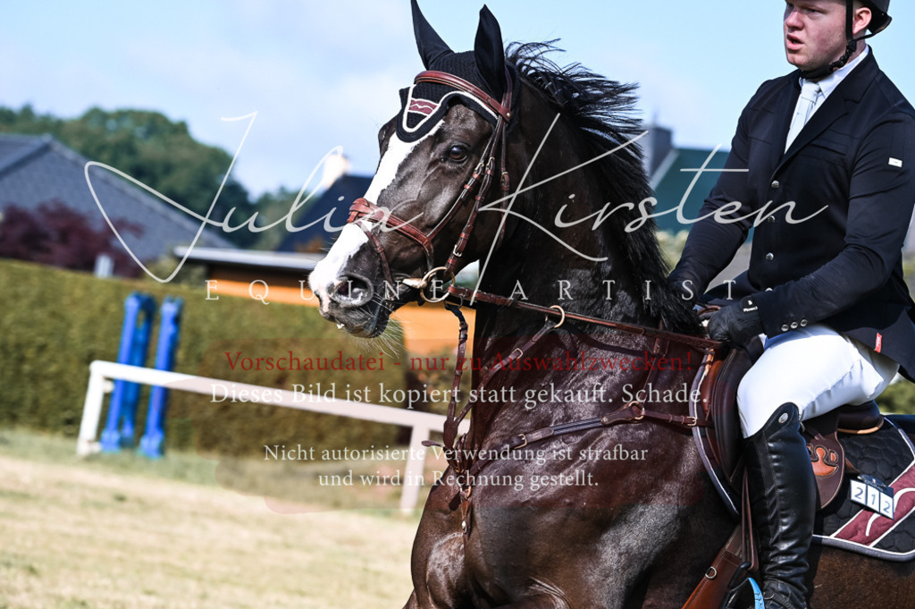 DSC_7535 | Pferde- und Turnierfotografie in Westsachsen. Pferdeportraits, Auftragszeichnungen und intuitive Kunst.