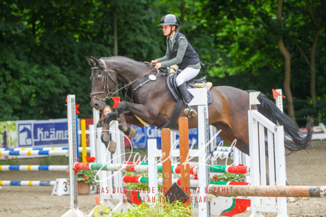 DKP44956 | Turniersportfotografie; Pferdefotografie; Dressurfotografie