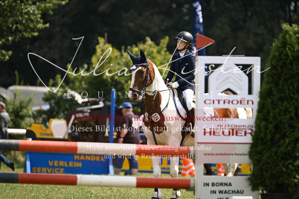 DSC_9063 | Pferde- und Turnierfotografie in Westsachsen. Pferdeportraits, Auftragszeichnungen und intuitive Kunst.