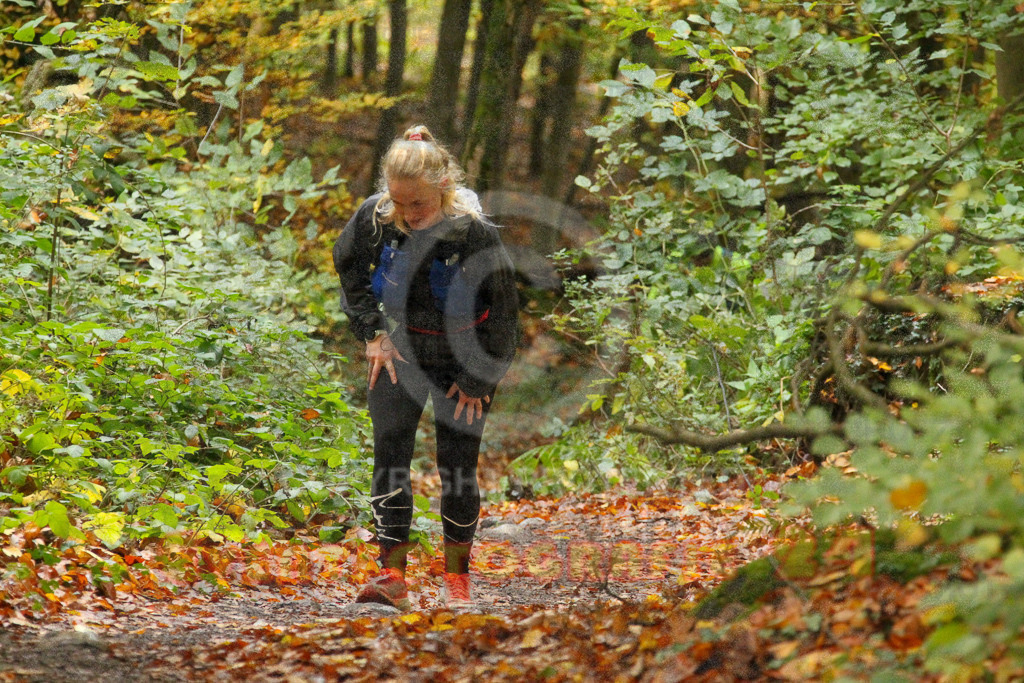 251026_1328_EV4_6940 | Sportfotografie im Rhein-Sieg Kreis, Köln, Bonn, NRW, Rheinland Pfalz, Hessen, etc. Unser Tätigkeitsfeld umfasst den Laufsport vom Volkslauf über den Marathon, Duathlon, Triathon bis zum Ultralauf wie Kölnpfad Ultra oder Schindertrail.