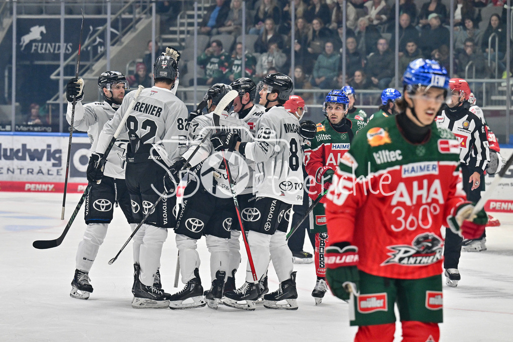 Augsburger Panther - Kölner Haie | Jubel der Gaeste nach dem Treffer zum 0-1 durch Nicholas BAILEN (Koelner Haie #7) / Freude / Happy / Tor / Torschuetze / DEL: Augsburger Panther - Kölner Haie, Curt Frenzel Stadion am 29.09.2024