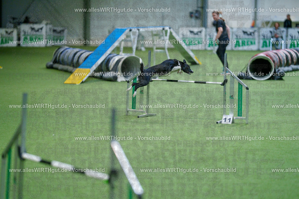 @allesWIRTHgut_Tierfotografie - www.allesWIRTHgut.de - 2604250830-7R506894 | Professionelle Tierfotografie in Mönchengladbach von Daniel Wirth (allesWIRTHgut). Liebevolle & natürliche Bilder von Hunden & Katzen für unvergessliche Erinnerungen.