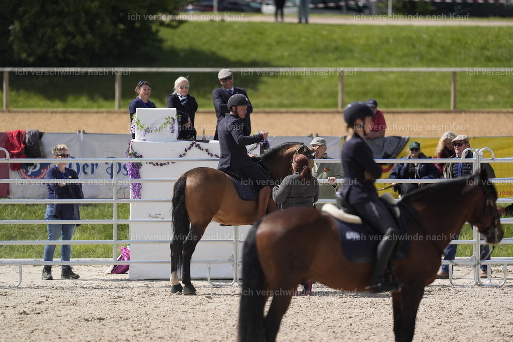 PI26_COW_Stoibphotography_DSC5686.JPG | working equitationturnier fotograf videograf stoibphotography marixx film working equitation deutschland reitsport turnierfotografie eventfotografie equestrian events