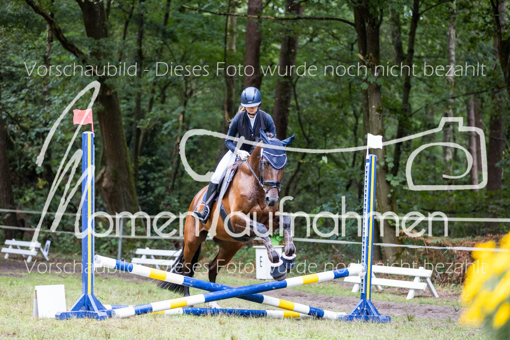 HB-Caprilli-004 | MomenTaufnahmen Pferdesportfotos