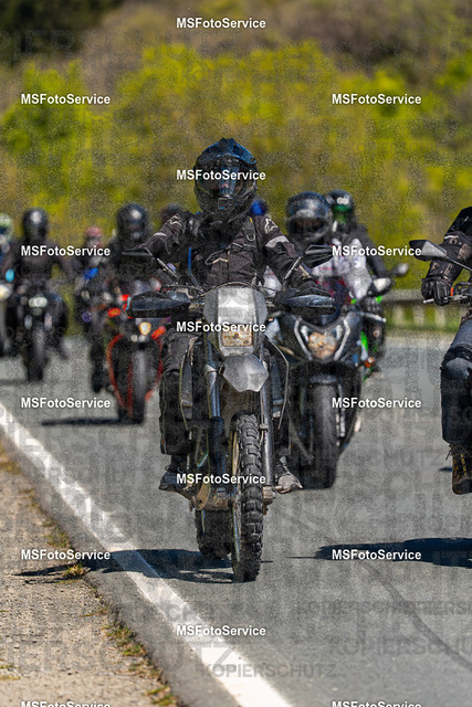 MSFotoServiceXXX171 | MSFotoService - Realisiert mit Pictrs.com