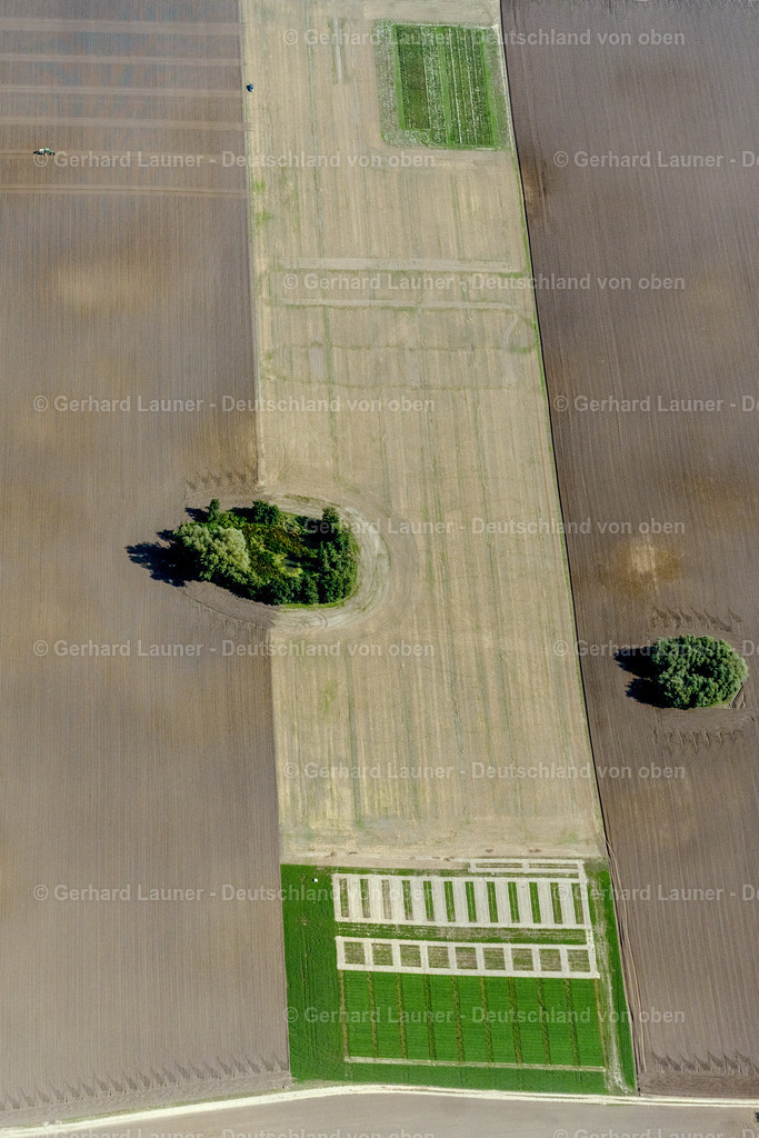4062147 | INSEL POEL 08.09.2021 Strukturen auf landwirtschaftlichen Feldern auf der Insel Poel an der Ostseeküste im Bundesland Mecklenburg-Vorpommern, Deutschland. // Structures on agricultural fields auf of Insel Poel at the baltic coast in the state Mecklenburg - Western Pomerania, Germany. Foto: Gerhard Launer