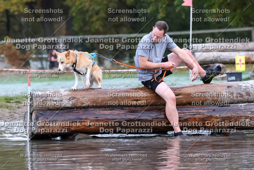 Dog Paparazzi - Strongdog 10-25-6187 | Dog Paparazzi Jeanette Grottendiek Fotografie & Videografie