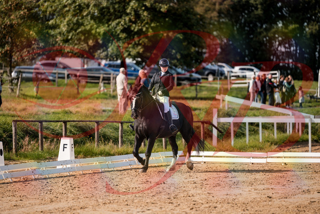 2026_10_03_Siefer-Hof_120743_Z63_36665922 | Professionelle Reitsport-, Turnier- und Eventfotografie von Robert Broda. Galerien mit ausgewählten und bearbeiteten Bildern direkt online ansehen und bestellen.