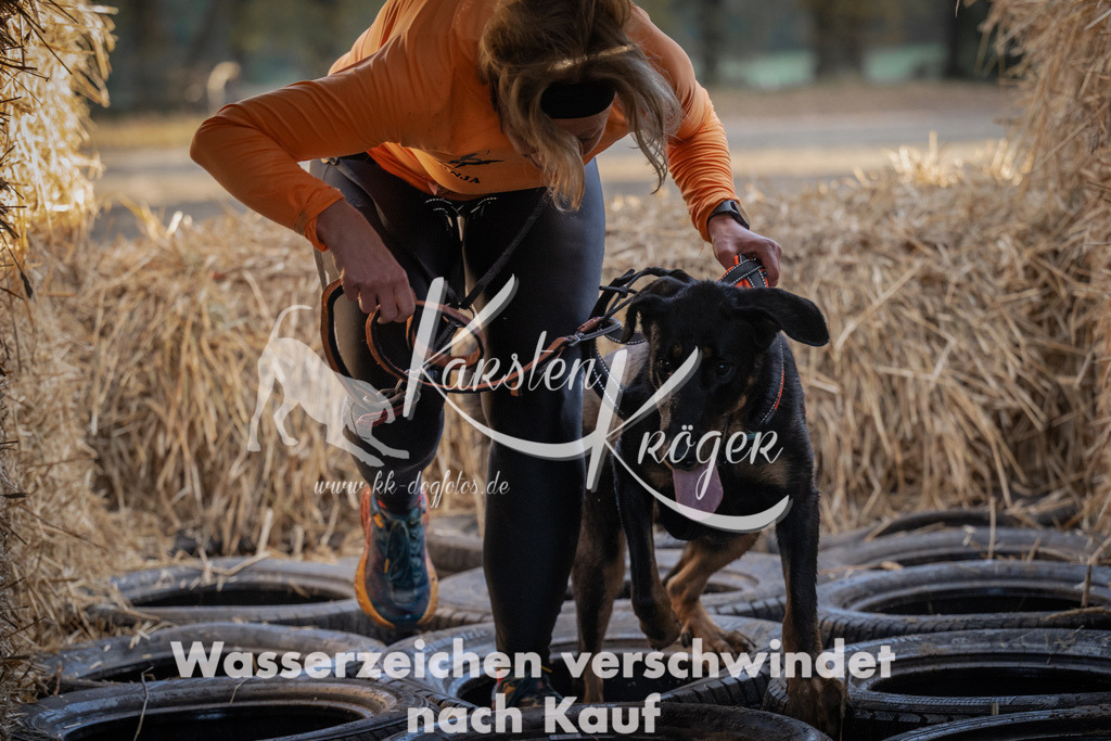 0950_ZZ95114 | kk-dogfotos