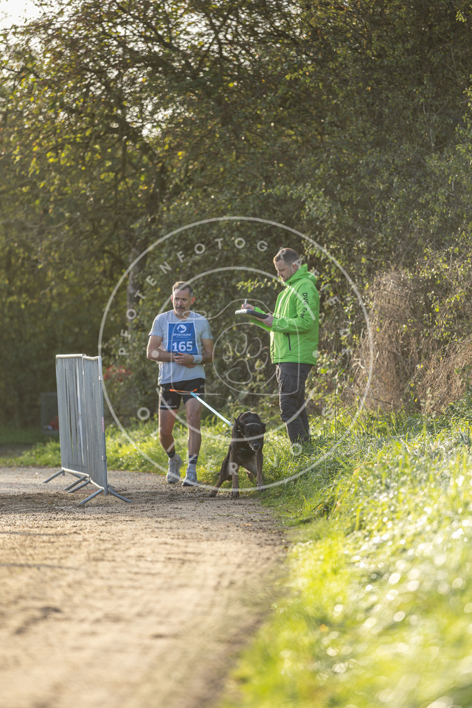 Pfotenfotografie.de_DV3A2640 | Hundefotografie, Tierfotograf, Pfotenfotografie, Fotoshooting Hund, Hunde Portrait, Hundesport, Hundeportraits, Heideshooting, Hunde, Sportfotograf, Hundefotograf, Turnierhundsport, THS, canicross - Realisiert mit Pictrs.com