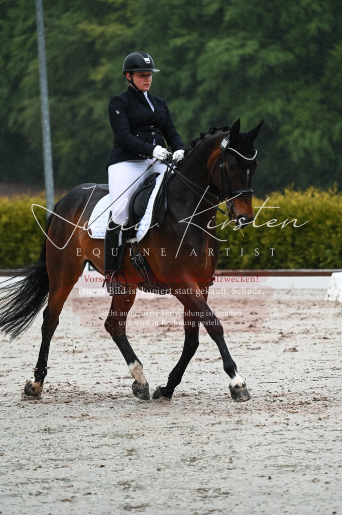 DSC_4527 | Pferde- und Turnierfotografie in Westsachsen. Pferdeportraits, Auftragszeichnungen und intuitive Kunst.