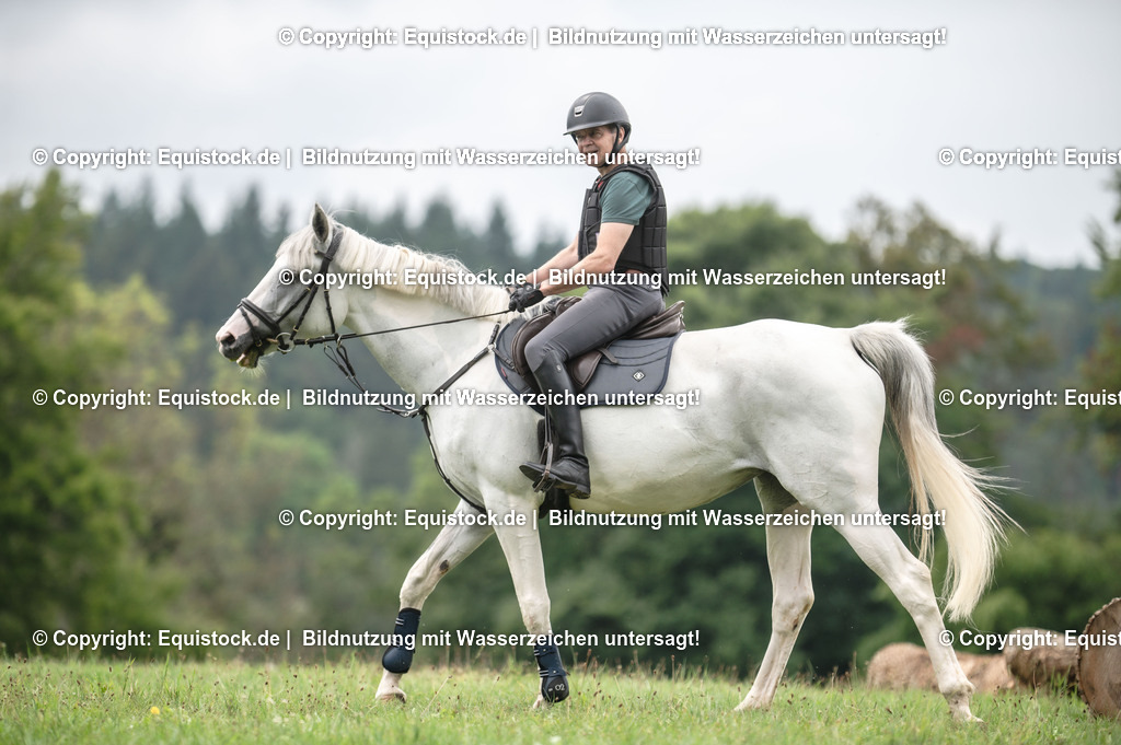 20250726_Vielseitigkeitslehrgang-Marbach_0476 | Foto: Thomas Hartig