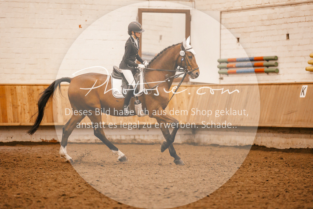 3I6A6437 | Stimmungsvolle Portraits und Reitsportfotografie im Ruhrgebiet und im Münsterland.

Pferdefotografie, Hundefotografie, Tierfotografie, Reportagen, Portraits von Tier und Mensch, Turnierfotografie in Bochum, Recklinghausen, Marl, Haltern am See, Dülmen.. - Realisiert mit Pictrs.com