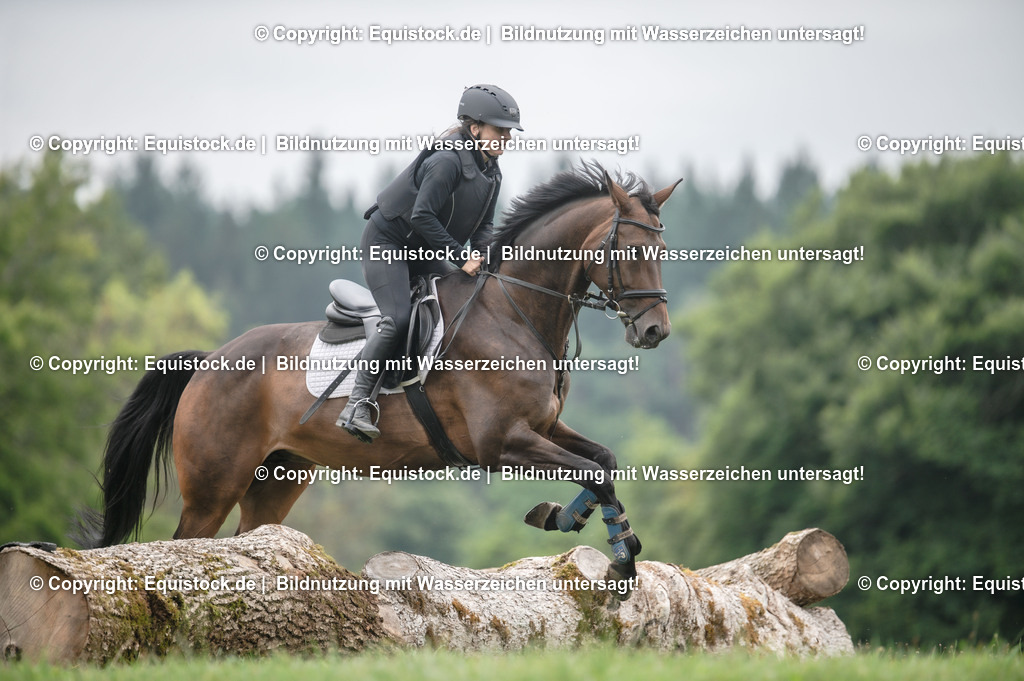20250726_Vielseitigkeitslehrgang-Marbach_0450 | Foto: Thomas Hartig
