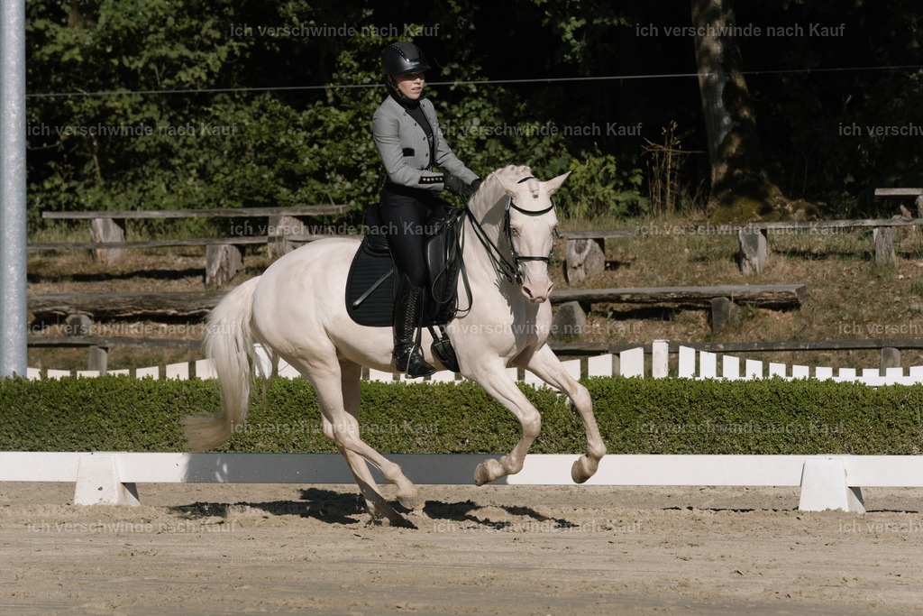 WM_DR_76_sinafilmart_IN04477 | working equitationturnier fotograf videograf stoibphotography marixx film working equitation deutschland reitsport turnierfotografie eventfotografie equestrian events