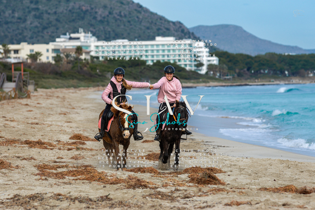 IMG_2605 | s-jay-photography - Realisiert mit Pictrs.com