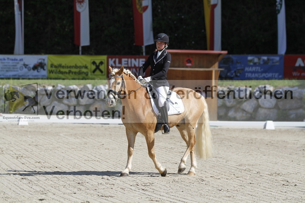 _MG_6519 | equestrian-live-com