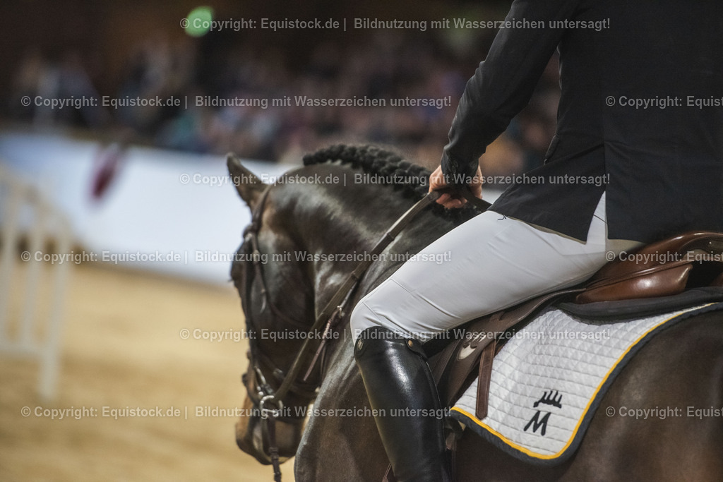 20240302_Hengstvorstellung_Marbach_TOMsPiC_0101 | equistock