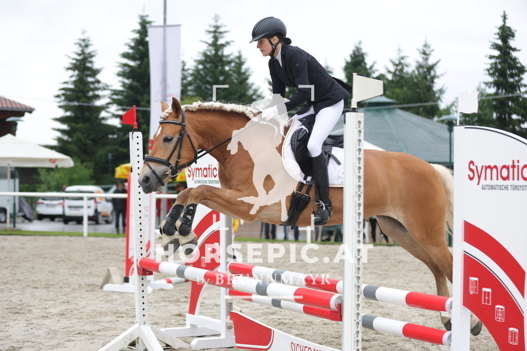 0P6A7962 | Willkommen bei Brunnmayr - Design & Fotografie – Ihrem Spezialisten für Reitturniere und Pferdeveranstaltungen in Oberösterreich, Salzburg und Bayern! Seit über 17 Jahren sind wir leidenschaftlich dabei.