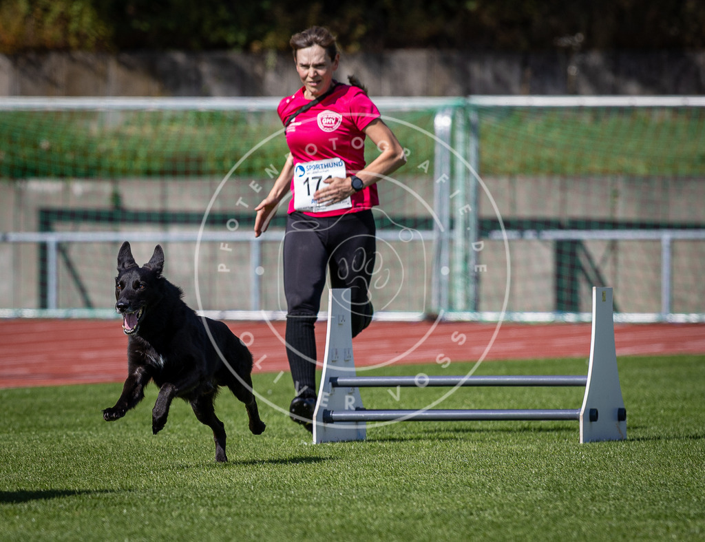 Pfotenfotografie_DV3A9922 | Hundefotografie, Tierfotograf, Pfotenfotografie, Fotoshooting Hund, Hunde Portrait, Hundesport, Hundeportraits, Heideshooting, Hunde, Sportfotograf, Hundefotograf, Turnierhundsport, THS,  - Realisiert mit Pictrs.com