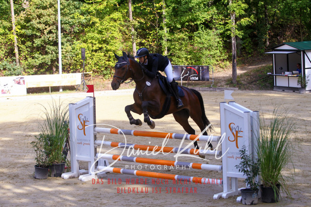 DKP42366 | Turniersportfotografie; Pferdefotografie; Dressurfotografie