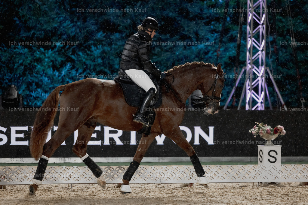 FHClassics-33 | working equitationturnier fotograf videograf stoibphotography marixx film working equitation deutschland reitsport turnierfotografie eventfotografie equestrian events