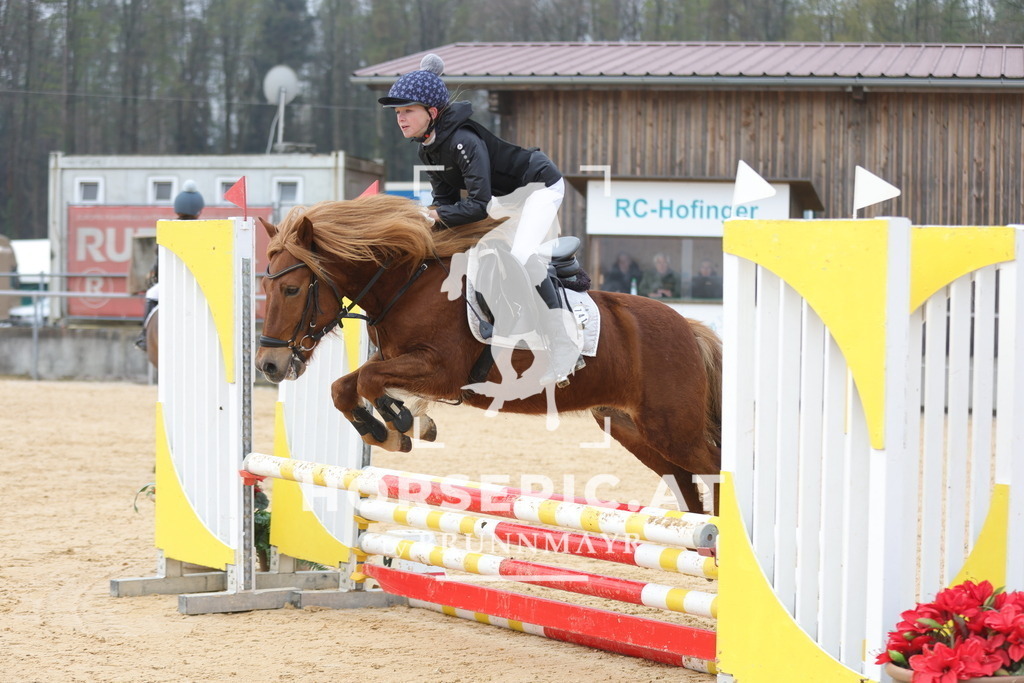0P6A8707 | Willkommen bei Brunnmayr - Design & Fotografie – Ihrem Spezialisten für Reitturniere und Pferdeveranstaltungen in Oberösterreich, Salzburg und Bayern! Seit über 17 Jahren sind wir leidenschaftlich dabei.