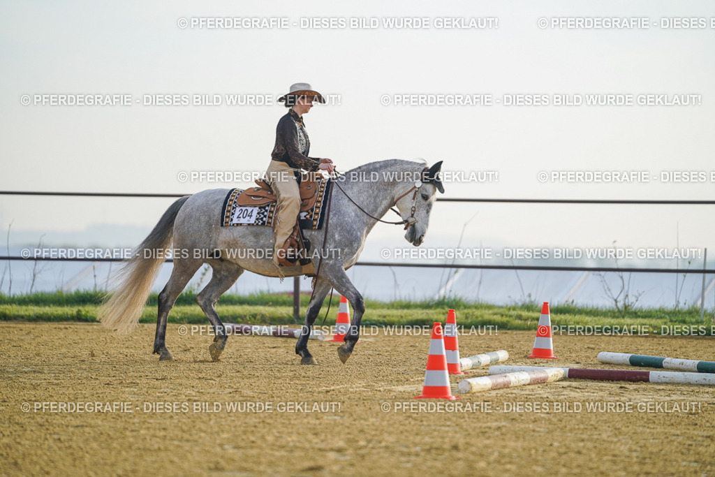 DSC09652 | Pferdegrafie