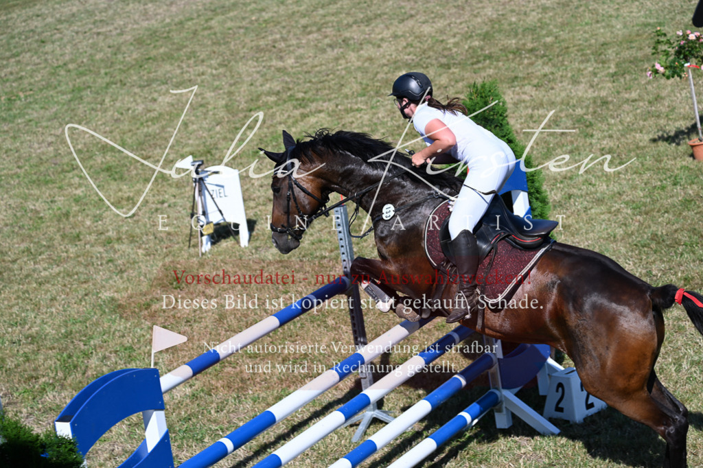 DSC_1996 | Pferde- und Turnierfotografie in Westsachsen. Pferdeportraits, Auftragszeichnungen und intuitive Kunst.