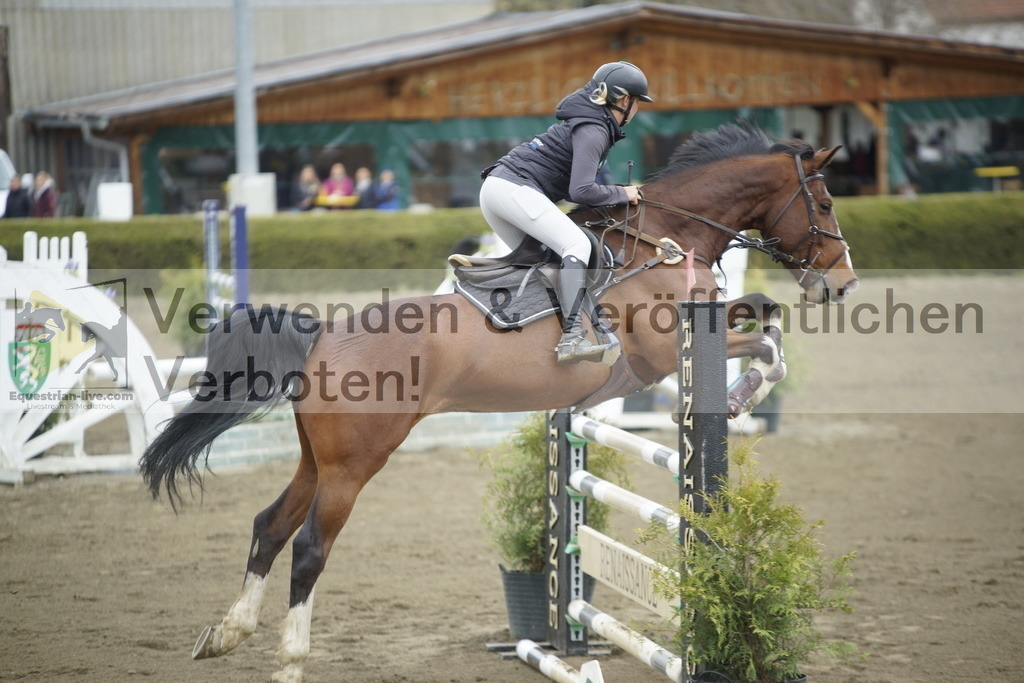 _DSC7170 | equestrian-live-com