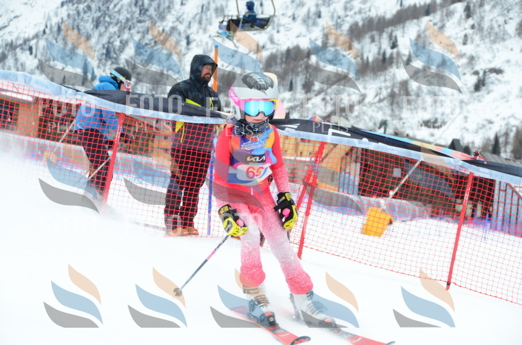 DSC_1062 | holidayphoto