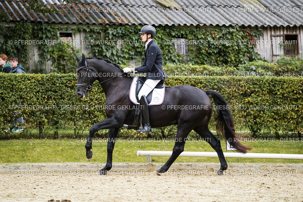 DSC09371 | Pferdegrafie