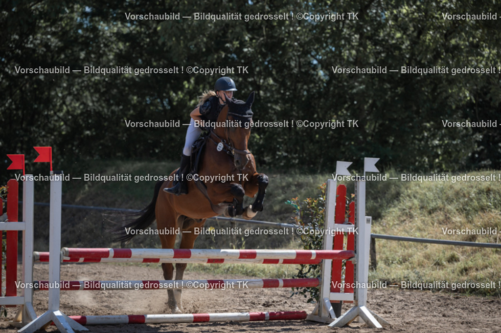 _D5A7509 | Emotionale Pferde- & People-Fotografie rund um Heidelberg, Leimen & Umgebung. Natürliche Fotos von Pferd, Mensch & Familie. Jetzt Termin sichern!