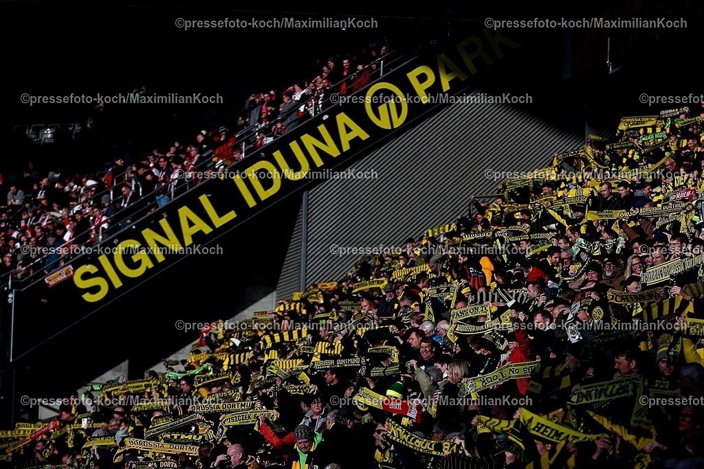 BVB08022502201 | 08.02.2025, Fußball, Borussia Dortmund - VfB Stuttgart, 1. Fußball Bundesliga, 21. Spieltag, Signal Iduna Park, Saison 2024 2025: Feature Schalparade Fans Besucher Zuschauer Fanschal Fanschals Tribüne voll DFB regulations prohibit any use of photographs as image sequences and or quasi-video.