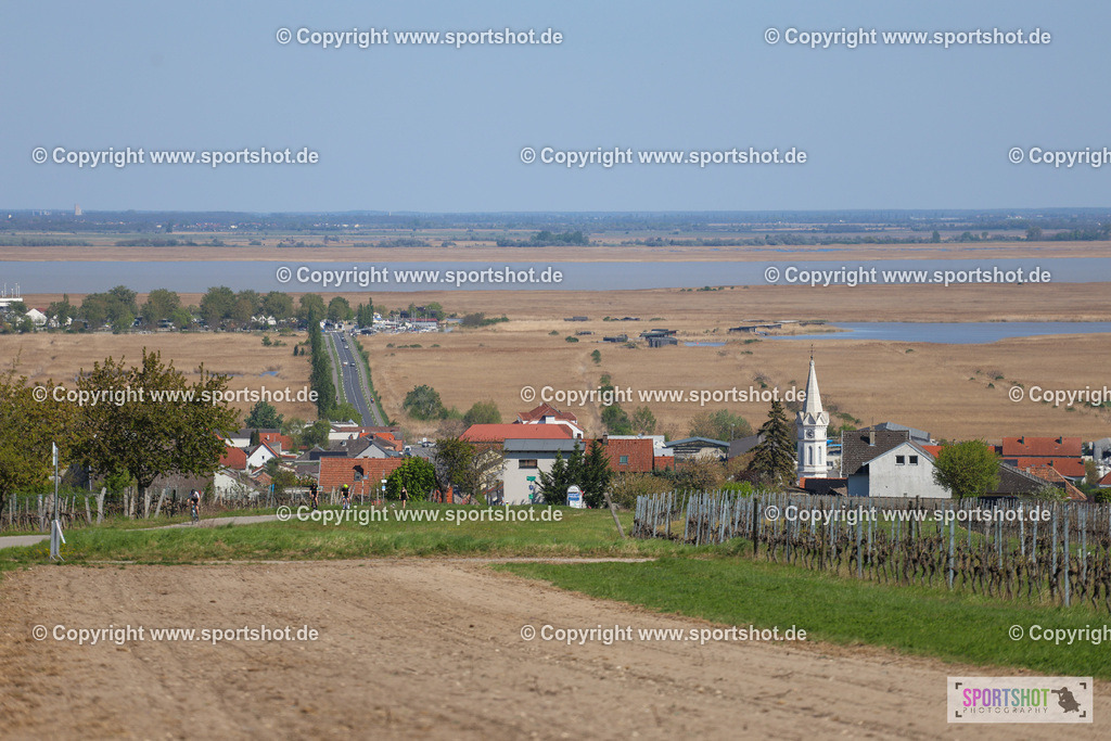 IMG_9777 | @sportshot_your_pictrs #yourpictures#roadtowm2029 #nrm #neusiedlerseeradmarathon #neusiedlersee #neusiedlerseetourismus #burgenland #mörbisch #nrm26 #burgenlandtourismus #voglundco #poweredbyburgenlandtourismus #radsport #rad #marathon #ucigranfondo #visitburgenland #ucigranfondoworldseries