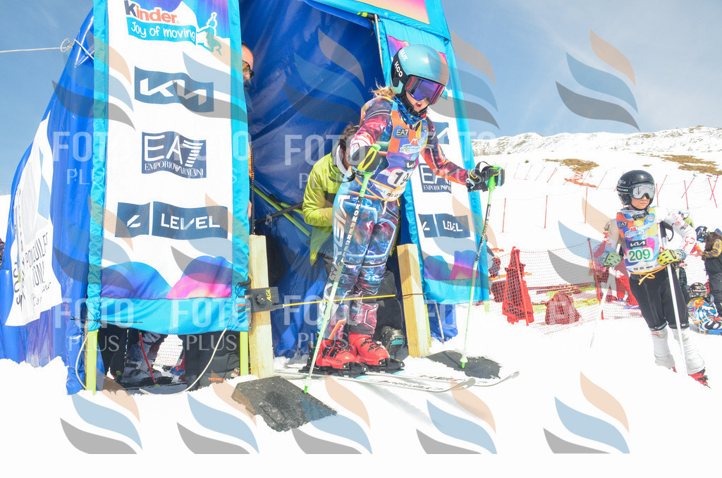 _ELE6831 | holidayphoto