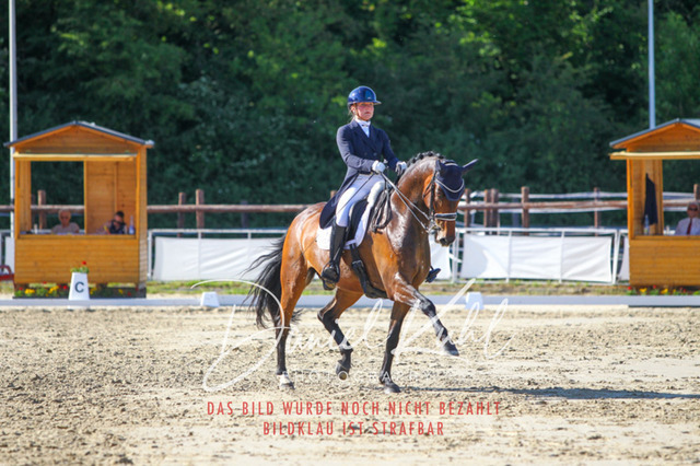 DKP42756 | Turniersportfotografie; Pferdefotografie; Dressurfotografie