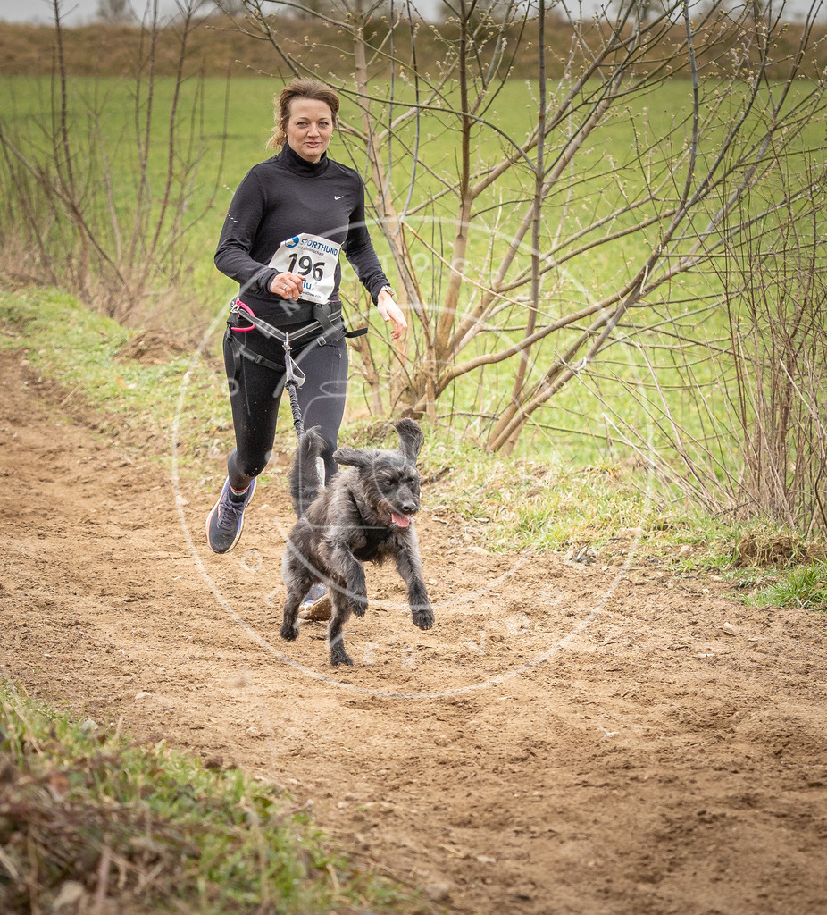 DV3A2349 | Hundefotografie, Tierfotograf, Pfotenfotografie, Fotoshooting Hund, Hunde Portrait, Hundesport, Hundeportraits, Heideshooting, Hunde, Sportfotograf, Hundefotograf, Turnierhundsport, THS,  - Realisiert mit Pictrs.com