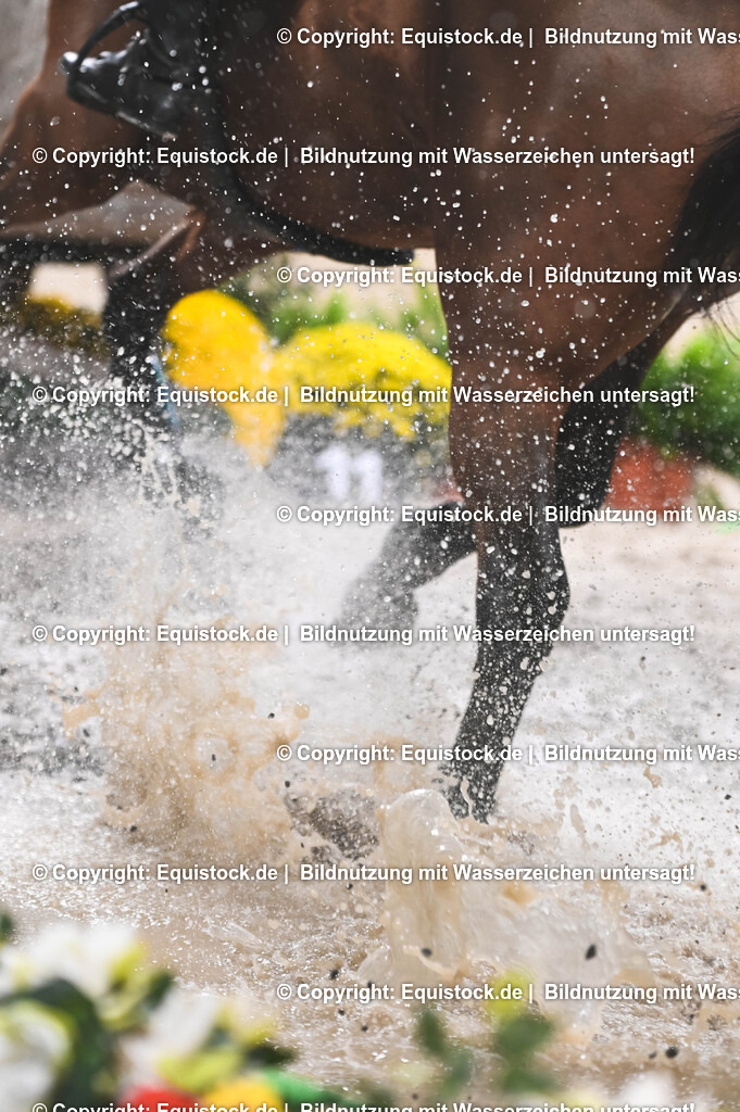 20251112_Indoor-Derby_TOMSPIC_0256 | Foto: Thomas Hartig