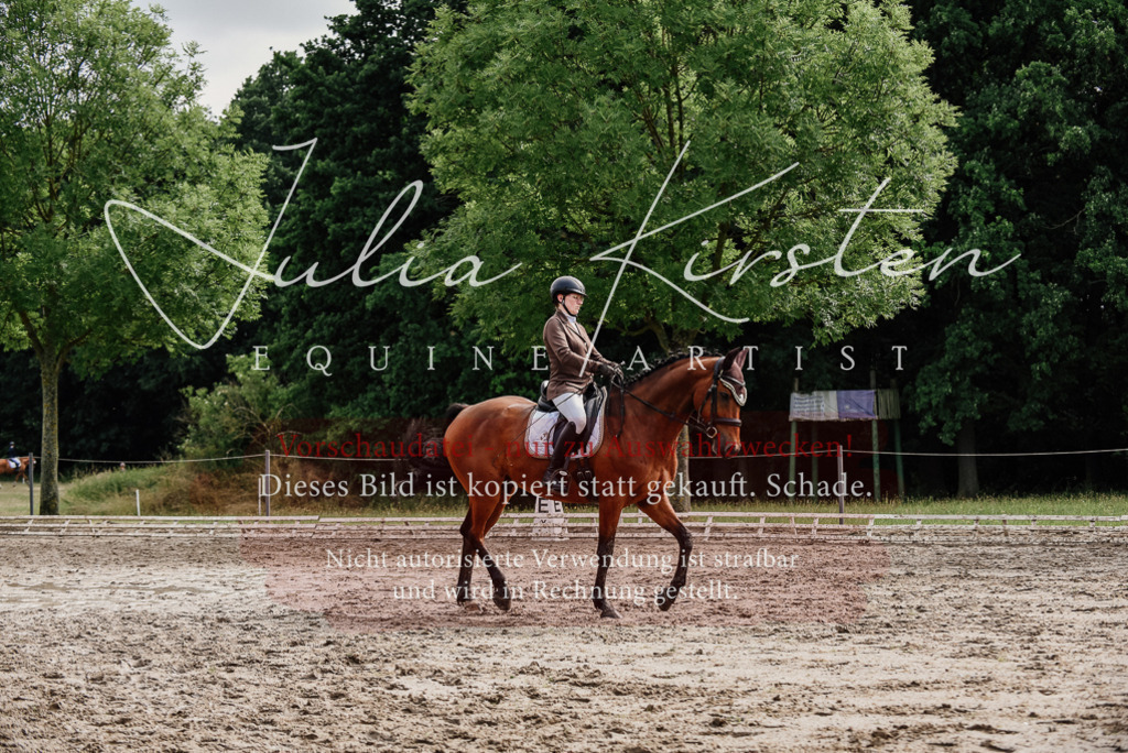 DSC_9510 | Pferde- und Turnierfotografie in Westsachsen. Pferdeportraits, Auftragszeichnungen und intuitive Kunst.