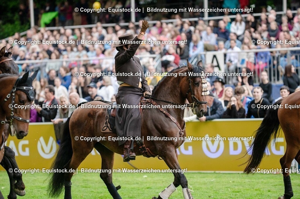 20250606_Lange-Pferdenacht_0591 | Foto: Thomas Hartig