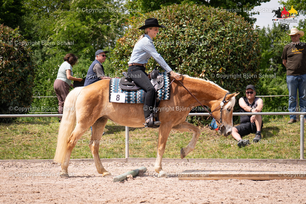 LMB09232 | BS-foto