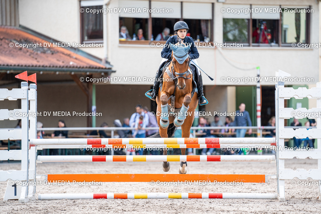 Eppelheim Tag 2-630 | dv-media-shop - Realisiert mit Pictrs.com
