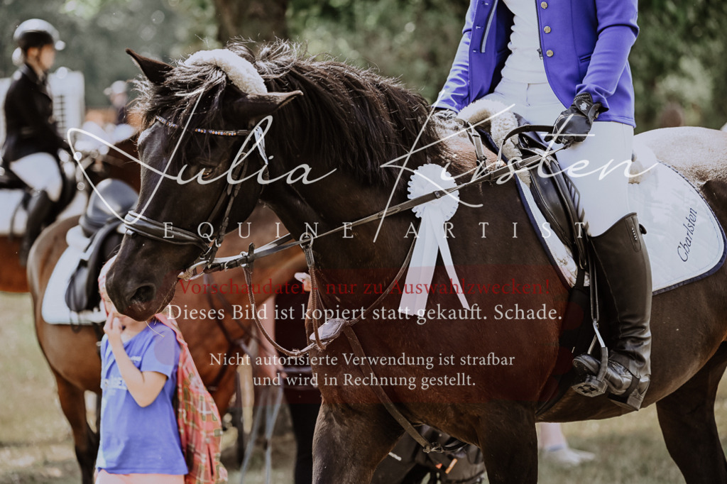 DSC_9552 | Pferde- und Turnierfotografie in Westsachsen. Pferdeportraits, Auftragszeichnungen und intuitive Kunst.