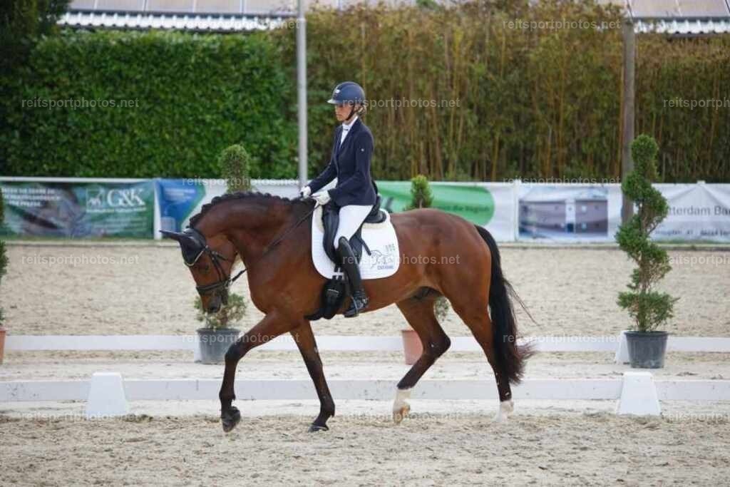JHE_1829 | JoYa Fotografie - Realisiert mit Pictrs.com