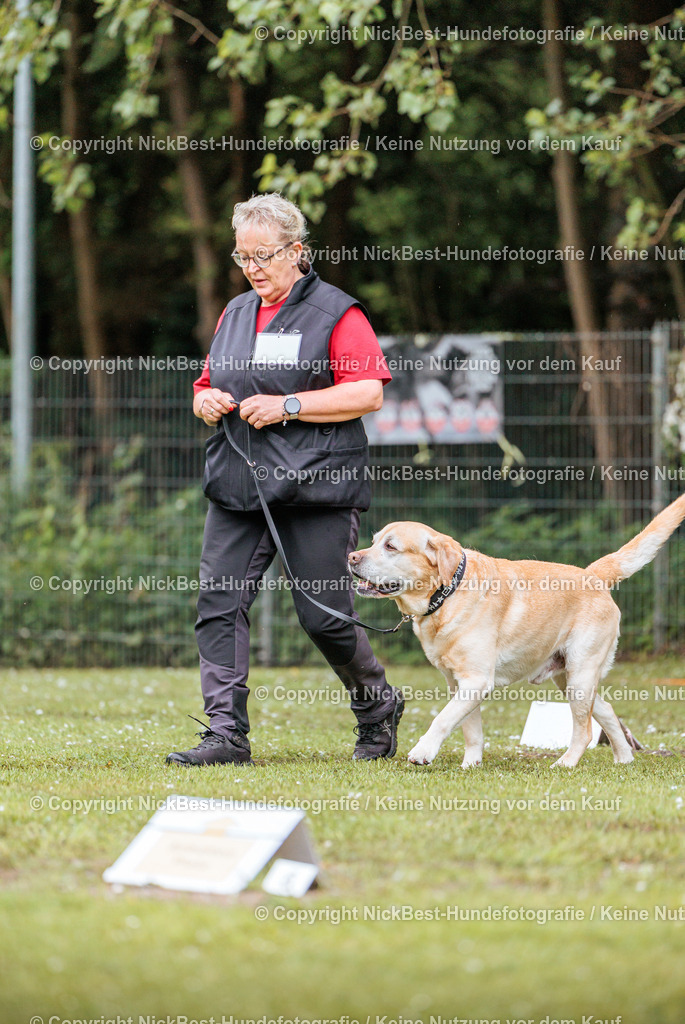 RO-Blumenthal-2026-Nickbest-Hundefotografie-0725 | Dein Hund! Dein Moment! Deine Erinnerungen! Hundefotografie in Bremen Blumenthal. Ich fange die besonderen Momente deines Vierbeiners ein – ob Indoor mit Blitzanlage oder in der freien Natur. Sicher dir dein Moment und dein Termin für eure Erinnerungen.