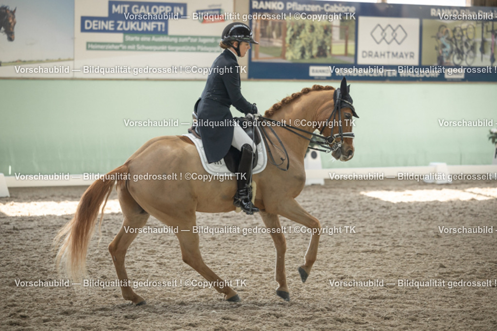 _D5A2392 | Emotionale Pferde- & People-Fotografie rund um Heidelberg, Leimen & Umgebung. Natürliche Fotos von Pferd, Mensch & Familie. Jetzt Termin sichern!