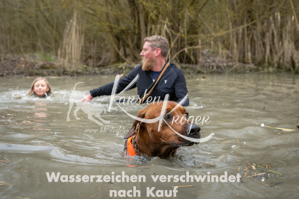 1402_ZZ95610 | kk-dogfotos