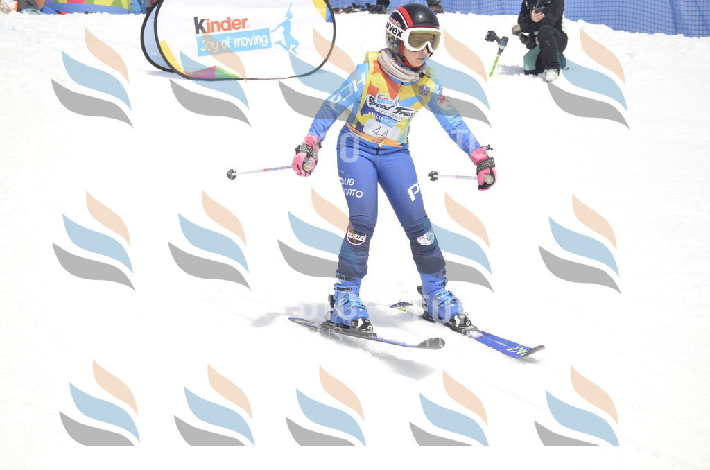 _ELE8750 | holidayphoto