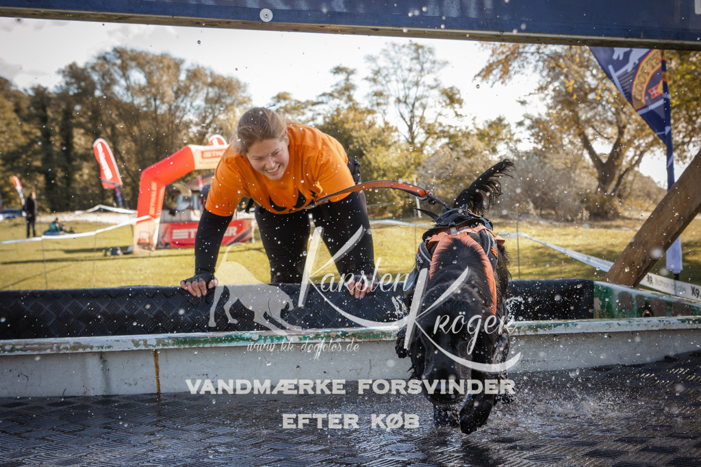 1229_ZZ96690-2 | kk-dogfotos